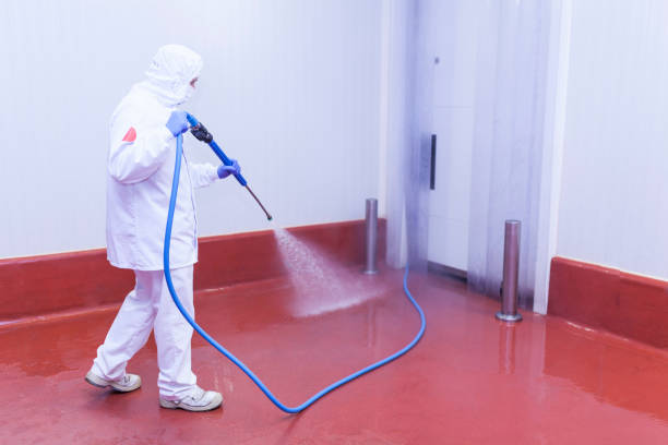 Post-Construction Pressure Washing in Rapid City, MI