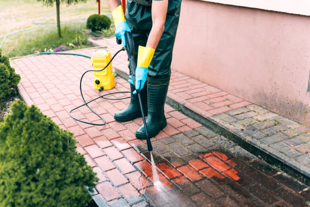 Pre-Holiday Cleaning in Rapid City, MI