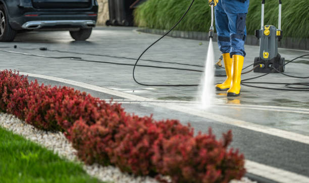 Best Oil Spill Cleanup  in Rapid City, MI